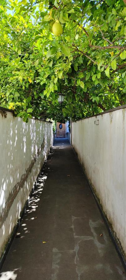 Apartmán Casa Teresinella Garden Torre Annunziata Exteriér fotografie