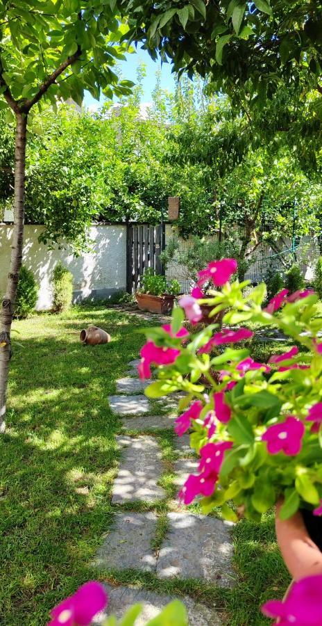 Apartmán Casa Teresinella Garden Torre Annunziata Exteriér fotografie